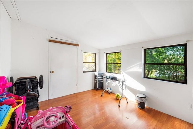 miscellaneous room with hardwood / wood-style floors and lofted ceiling