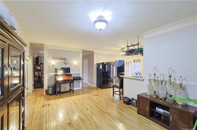 interior space featuring light hardwood / wood-style floors and crown molding