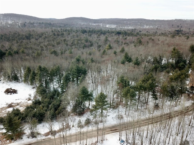 Low Rd, Neversink NY, 12765 land for sale