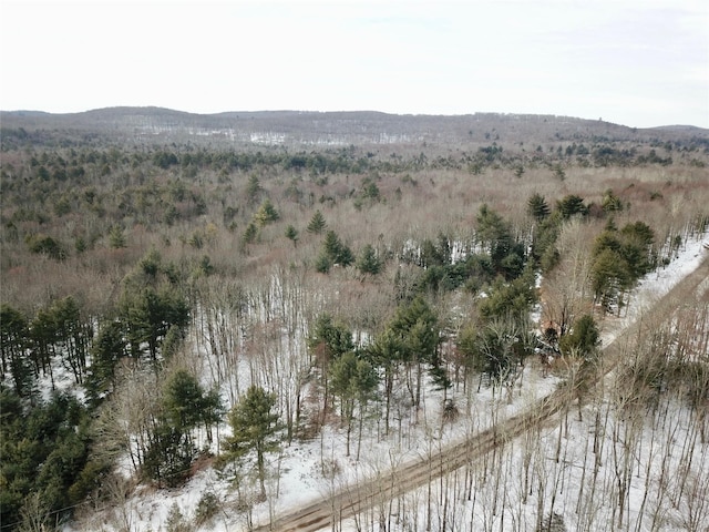 Listing photo 2 for Low Rd, Neversink NY 12765