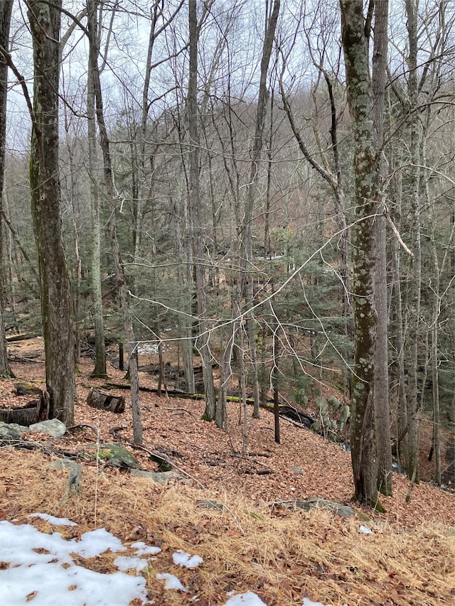 Red Hill Rd, Wurtsboro, NY 12790 - photo 5