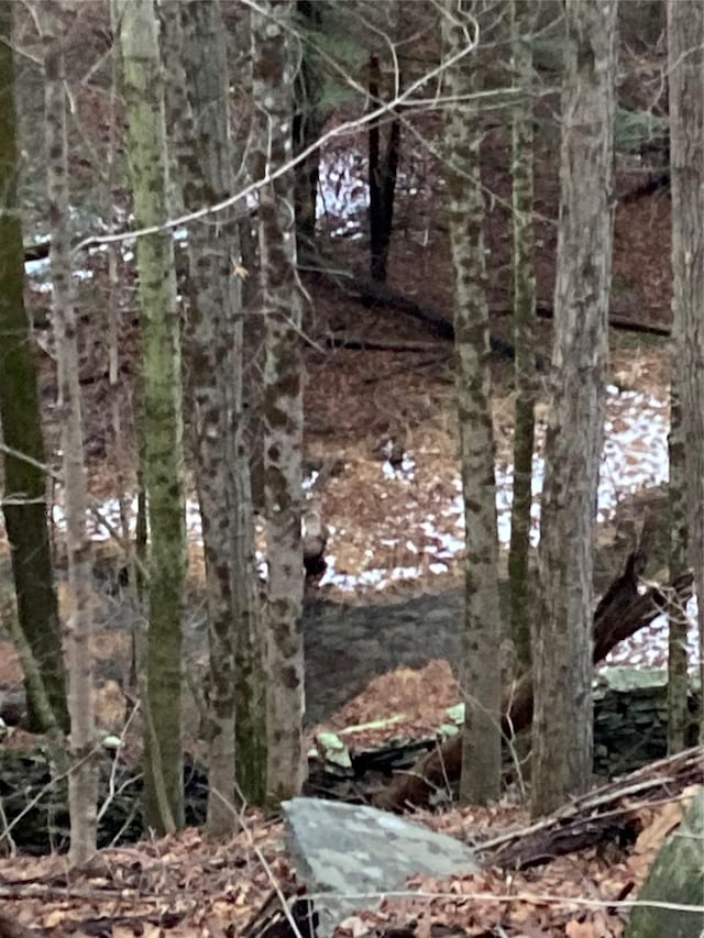 Red Hill Rd, Wurtsboro, NY 12790 - photo 7