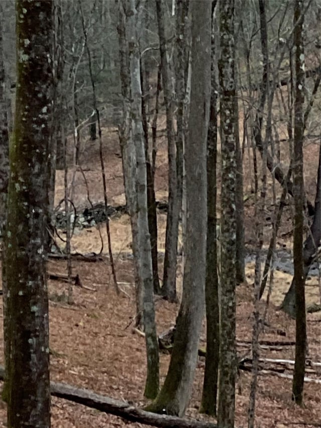 Red Hill Rd, Wurtsboro, NY 12790 - photo 8