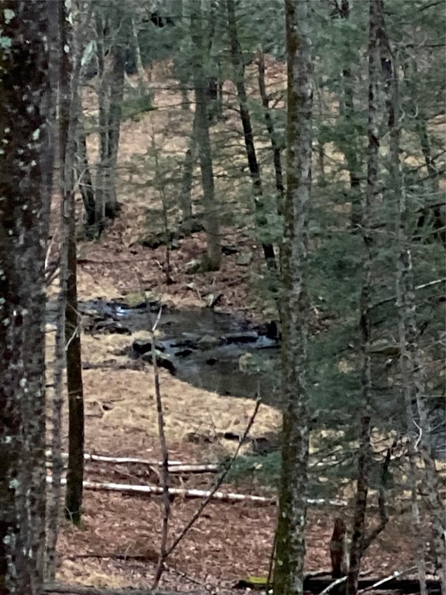 Red Hill Rd, Wurtsboro, NY 12790 - photo 10