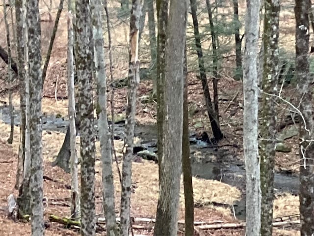 Red Hill Rd, Wurtsboro, NY 12790 - photo 11