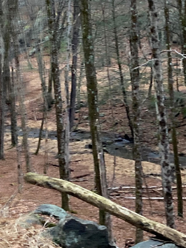 Red Hill Rd, Wurtsboro, NY 12790 - photo 13
