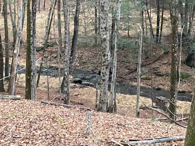 Red Hill Rd, Wurtsboro, NY 12790 - photo 14
