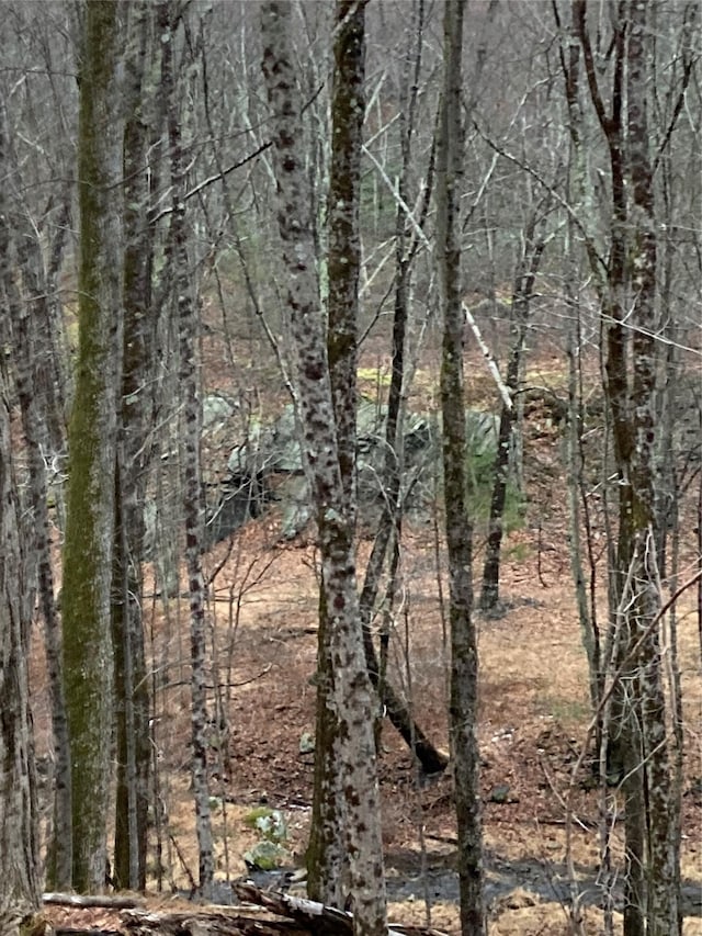 Red Hill Rd, Wurtsboro, NY 12790 - photo 15