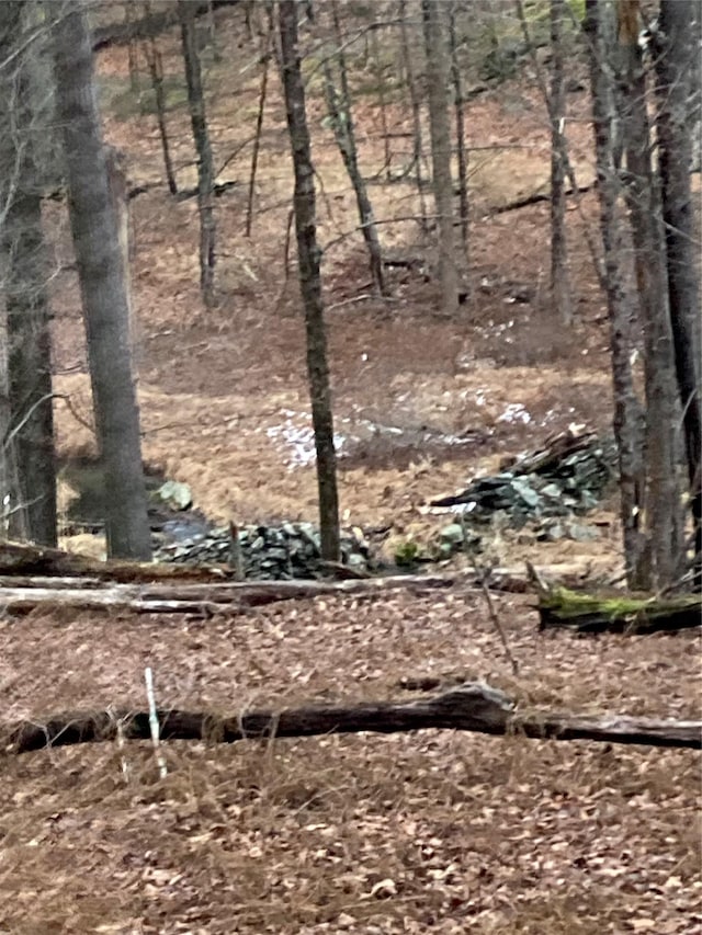 Red Hill Rd, Wurtsboro, NY 12790 - photo 16