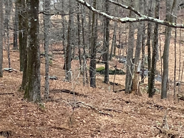 Red Hill Rd, Wurtsboro, NY 12790 - photo 17
