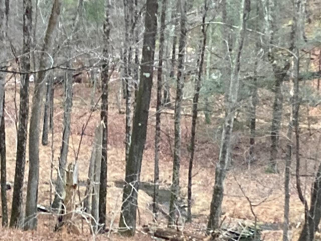 Red Hill Rd, Wurtsboro, NY 12790 - photo 18