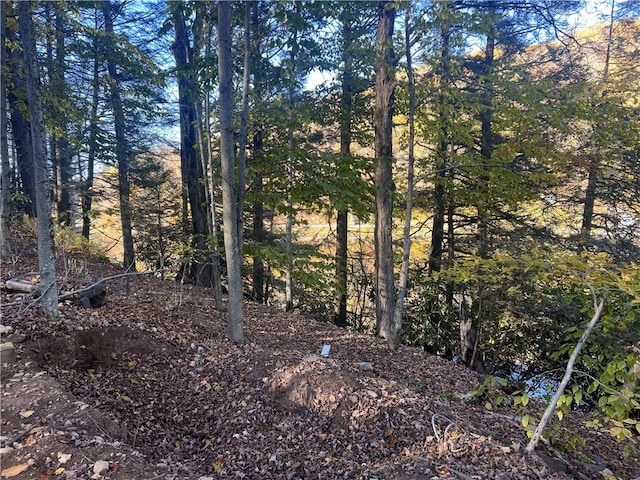 270 Benton Hollow Rd, Neversink, NY 12765 - photo 20