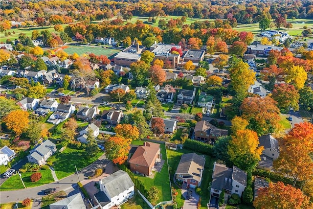 drone / aerial view