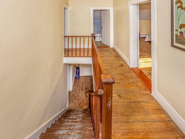 staircase featuring wood-type flooring