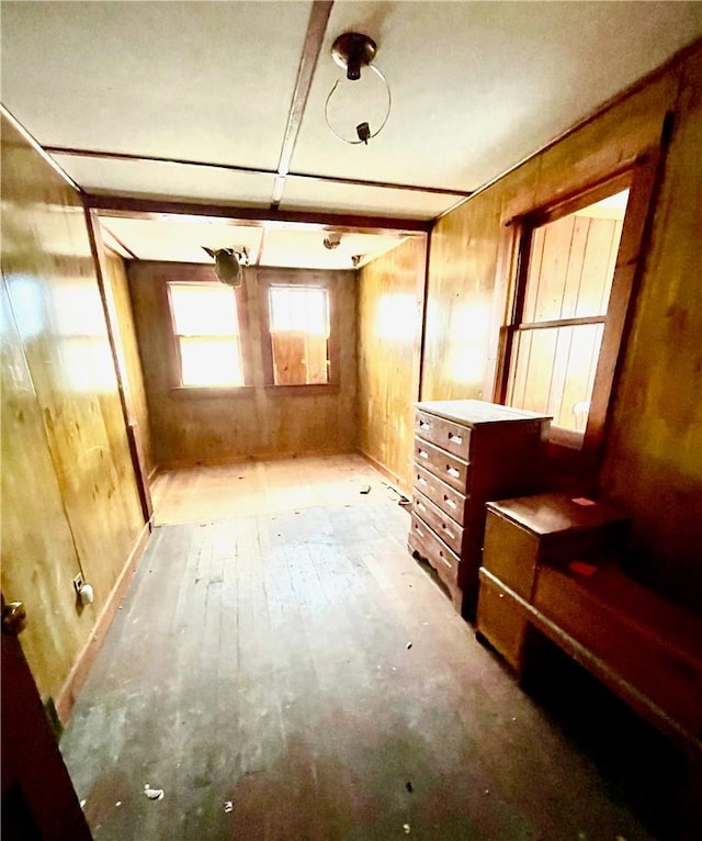 interior space with wooden walls and wood-type flooring