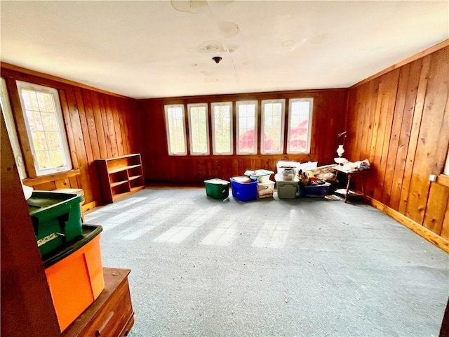 miscellaneous room with wood walls and a wealth of natural light