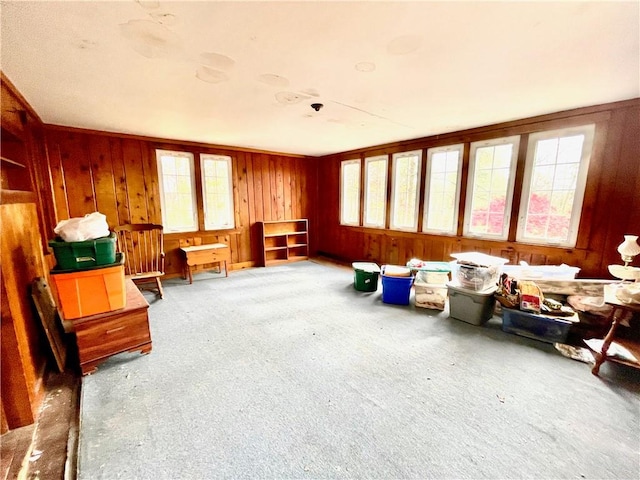 miscellaneous room with carpet flooring and wooden walls