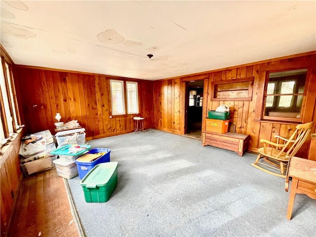 sitting room with carpet flooring and wooden walls