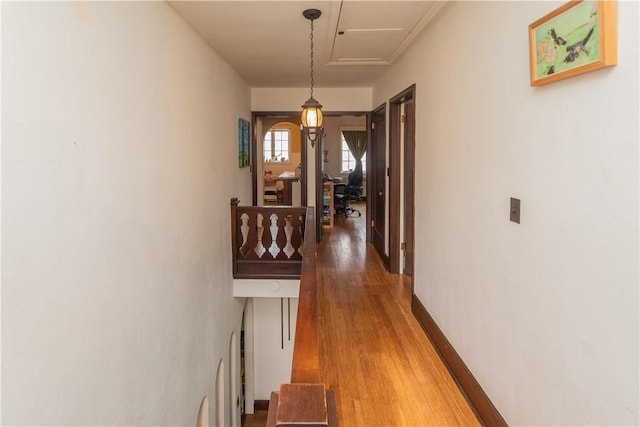 hall featuring wood-type flooring