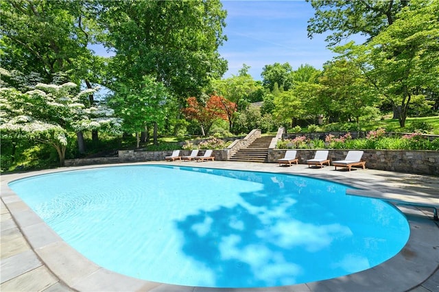 view of swimming pool with a patio area and a diving board