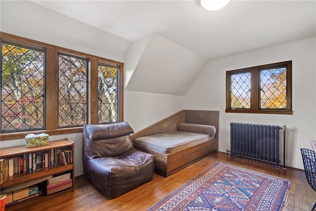 living area featuring a wealth of natural light, vaulted ceiling, radiator, and hardwood / wood-style floors