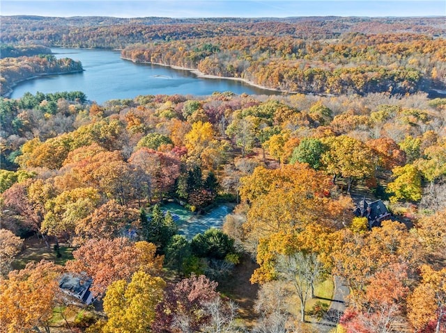 aerial view featuring a water view and a view of trees