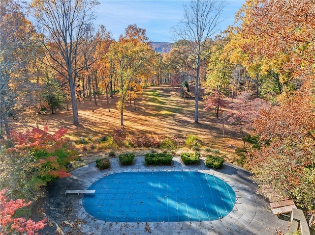 view of pool featuring a view of trees