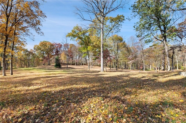 view of yard with a forest view