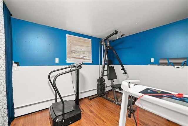 workout room featuring hardwood / wood-style floors