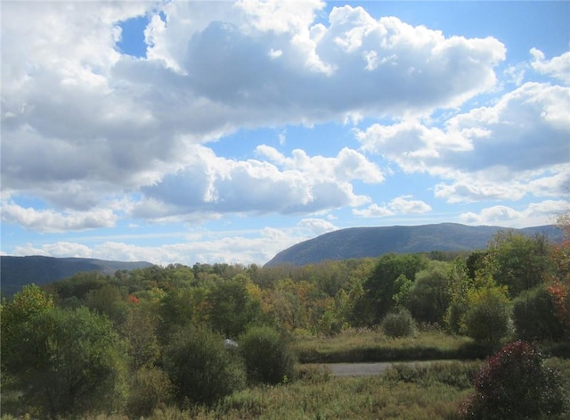 view of mountain feature