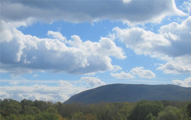 view of mountain feature