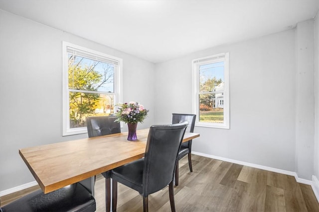 dining space featuring hardwood / wood-style flooring