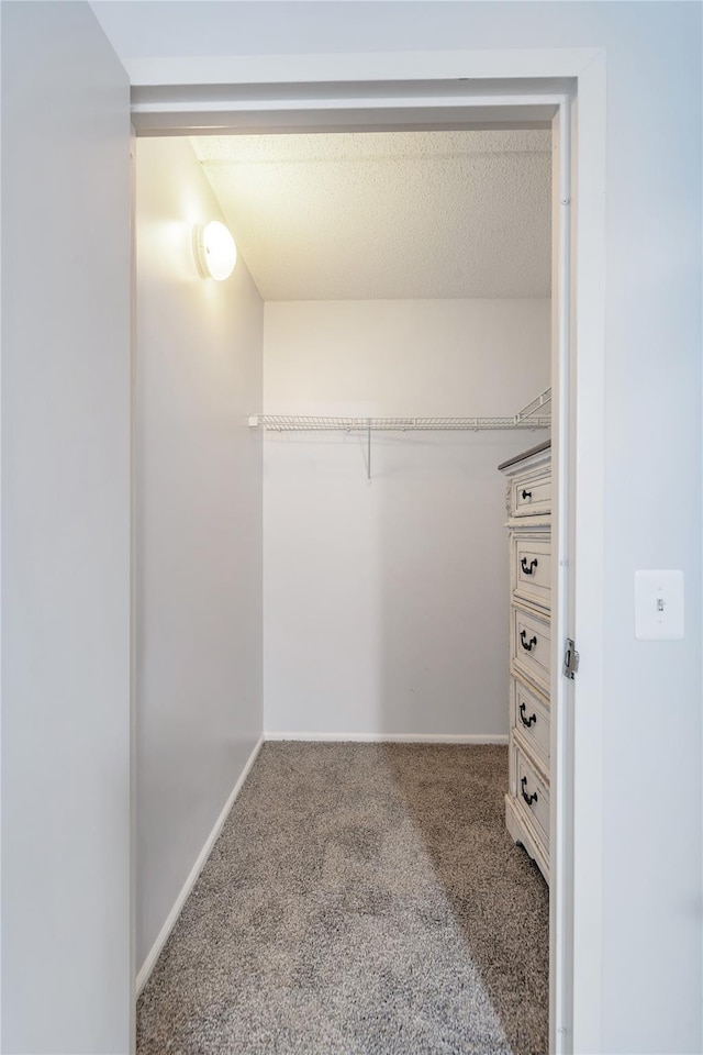 spacious closet with carpet