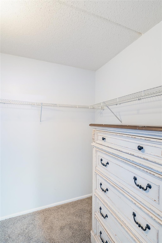 spacious closet featuring light colored carpet