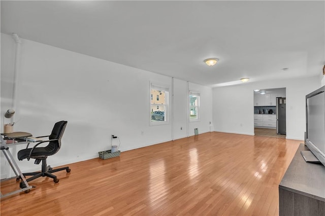 living room featuring light hardwood / wood-style flooring