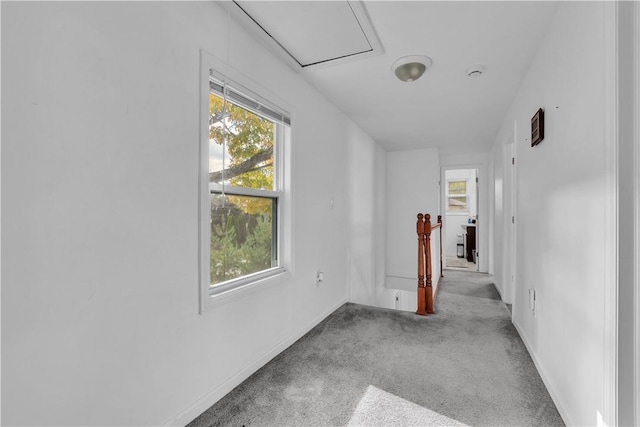 hall with light colored carpet