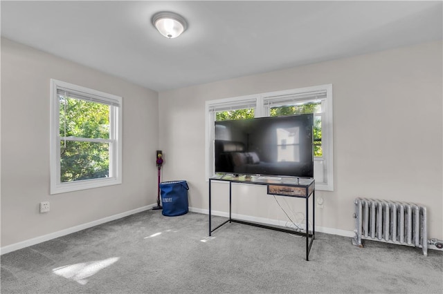 interior space with radiator