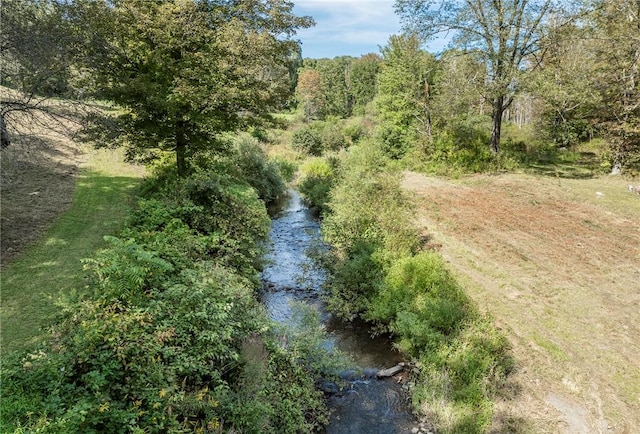 view of nature