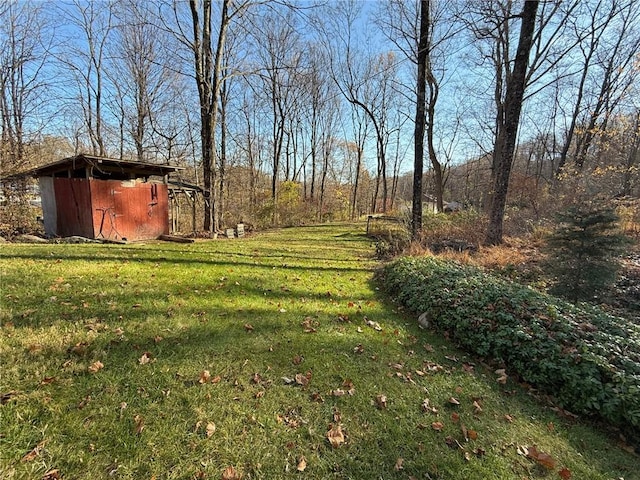 view of yard featuring a storage unit