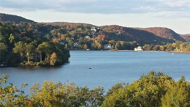 property view of water featuring a mountain view