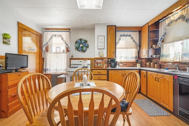 kitchen with white range with gas stovetop, a wealth of natural light, dishwasher, and sink