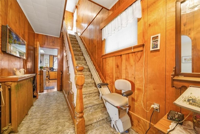 stairway with wooden walls