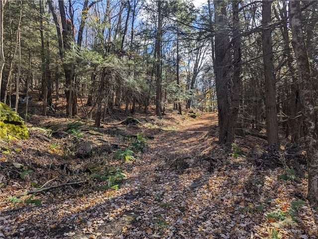 Lyman Todd Dr, Arkville NY, 12406 land for sale