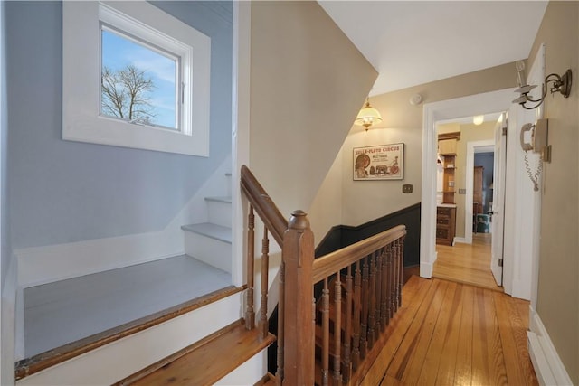 stairway with hardwood / wood-style flooring