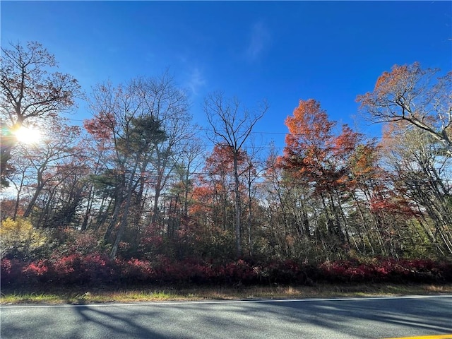 LOT84 Forestburgh Rd, Glen Spey NY, 12737 land for sale