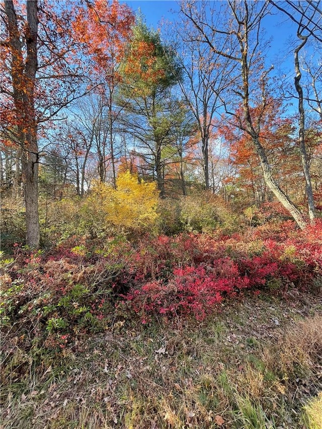 Listing photo 3 for LOT84 Forestburgh Rd, Glen Spey NY 12737