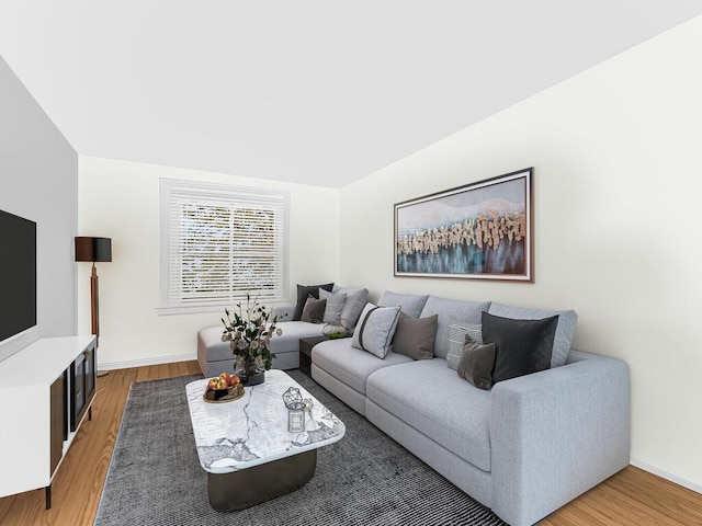 living room featuring hardwood / wood-style floors