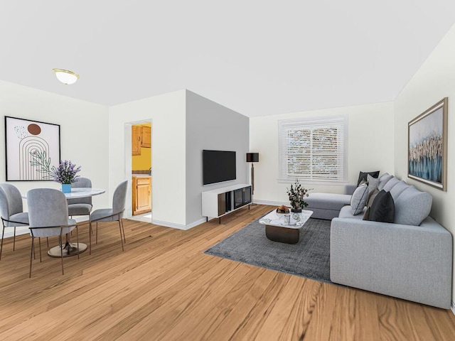 living room with wood-type flooring