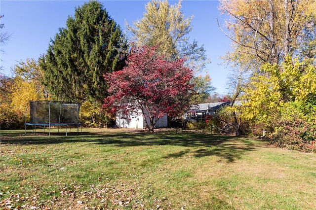 view of yard with a trampoline and a storage shed