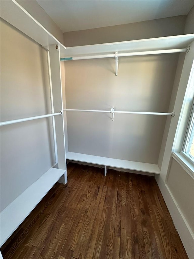 spacious closet featuring dark hardwood / wood-style flooring